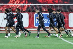 صورة المقالة