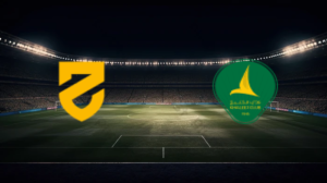 صورة المقالة