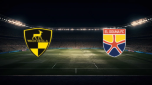 صورة المقالة