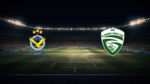 صورة المقالة