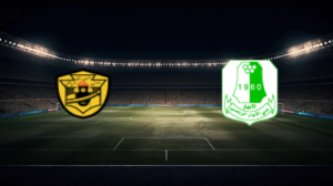 صورة المقالة