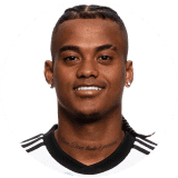 لاعب: فارغاس