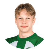 لاعب: جرابوفسكيس