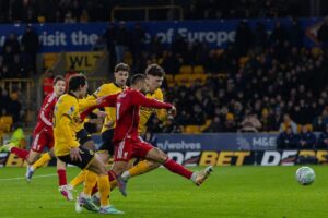 صورة المقالة