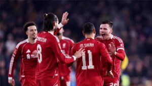 صورة المقالة