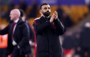 صورة المقالة