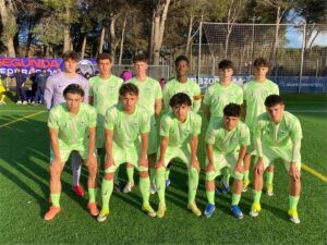 صورة المقالة