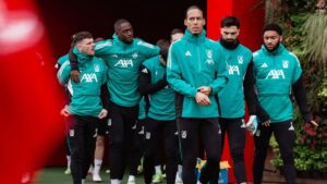 صورة المقالة