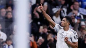 صورة المقالة