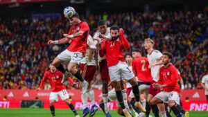 صورة المقالة