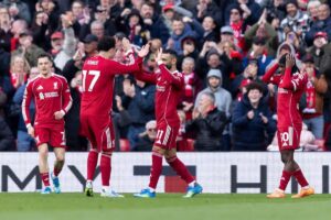 صورة المقالة